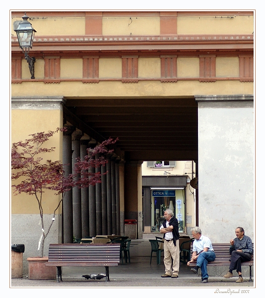 Duiven voeren (1).jpg